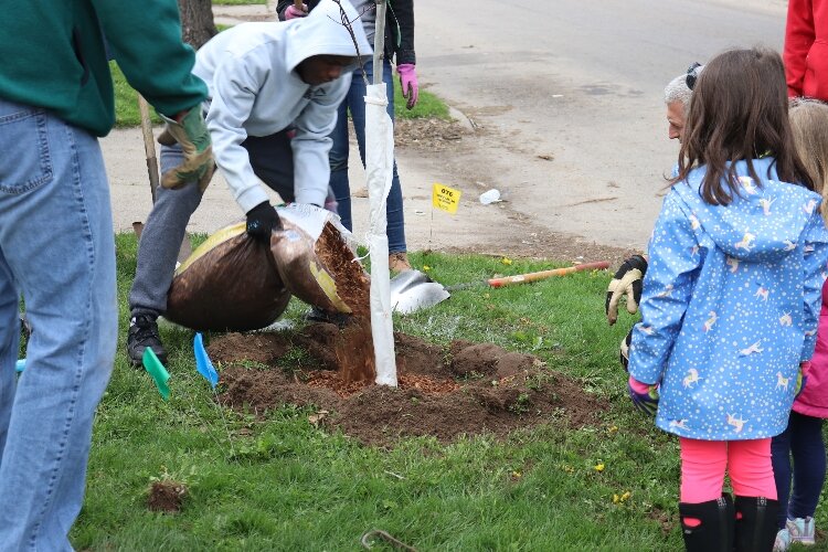 Volunteers with Friends of Grand Rapids Parks plant trees. 