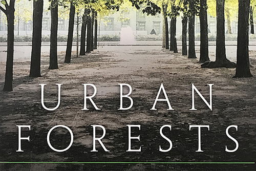 Urban Forests: A natural history of trees and people in the American cityscape