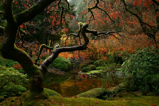 Portland Japanese Gardens by Hoichi Kurisu