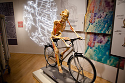 GRPublicMuseum-Bodies-AB.jpg